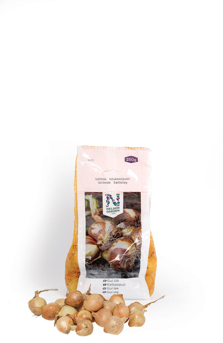 Keltasipuli 21/24, 1kg